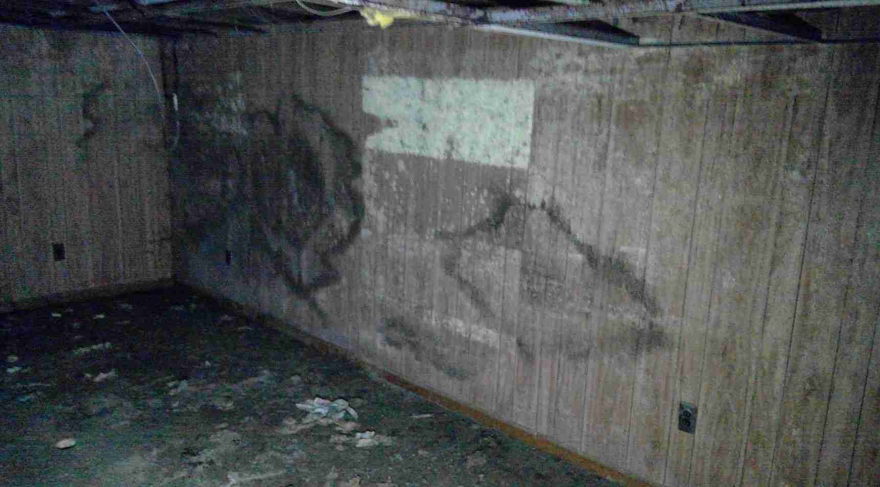 Screenshot 2022-02-06 181710.jpg